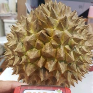 Durian Monthong Fresh