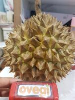 Durian Monthong Fresh