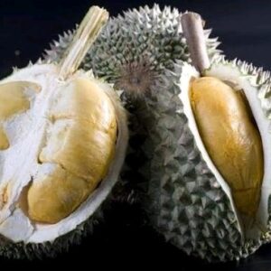 Buah Durian Blackthorn Duri Hitam asli berdaging tebal warna oranye pekat
