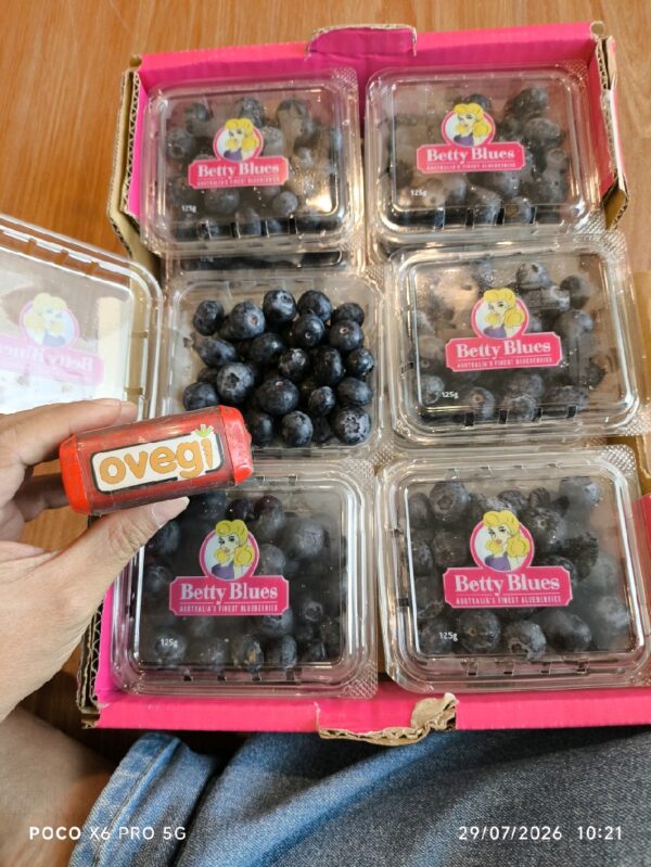 Blueberry Betty Blues