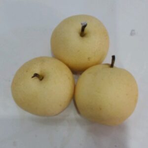 Pear Century
