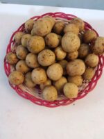 Buah Duku Palembang asli segar, manis, dan kulit tipis