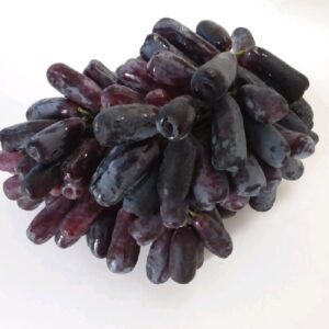 Anggur Sweet Saphire