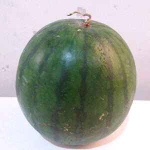 Semangka Merah Tanpa Biji