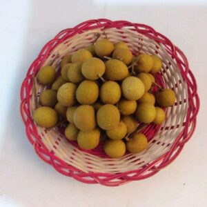 Longan Gold