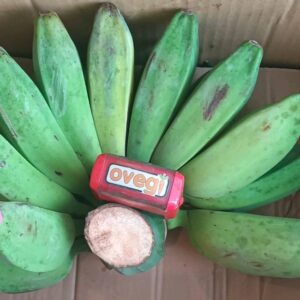 Pisang Kepok