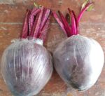 Beet Root