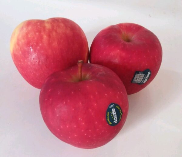Buah Apel Dazzle NZ ukuran Jumbo import segar berwarna merah merona