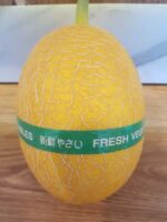 Melon Alisha
