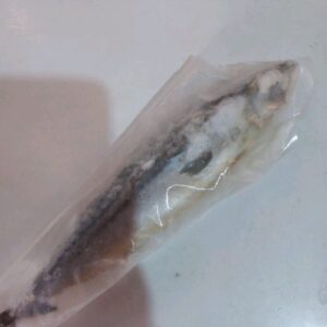 Ikan Saba Norway