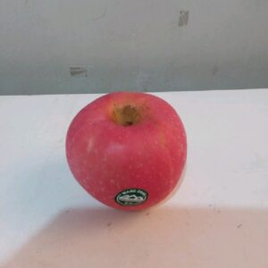 Apel Fuji Wangshan