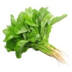 Ikat Sayur Bayam Hijau Segar Pilihan Kaya Zat Besi Ovegi