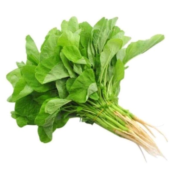 Ikat Sayur Bayam Hijau Segar Pilihan Kaya Zat Besi Ovegi