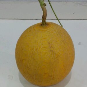 Melon Ithanon