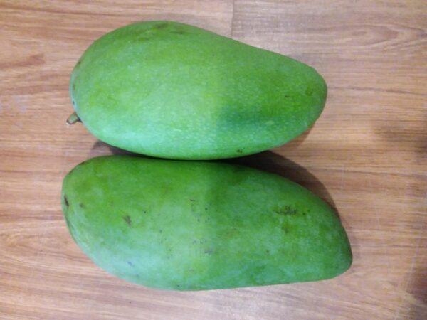 Mangga Kiojay