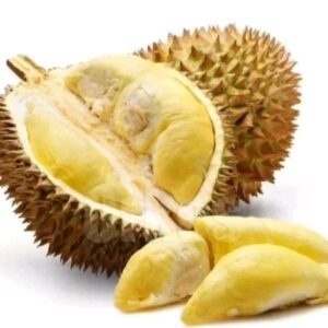 Buah Durian Monthong Bangkok daging tebal kuning dan manis