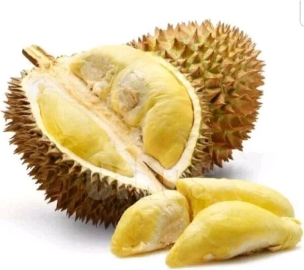 Buah Durian Monthong Bangkok daging tebal kuning dan manis