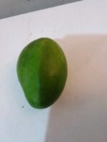 Buah Mangga Gadung Masak Pohon Kulit Hijau Daging Orange Manis Ovegi