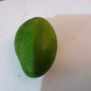 Mangga Gadung Masak Pohon