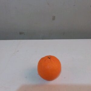 Jeruk Wogan Seedless