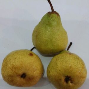 Pear Packham