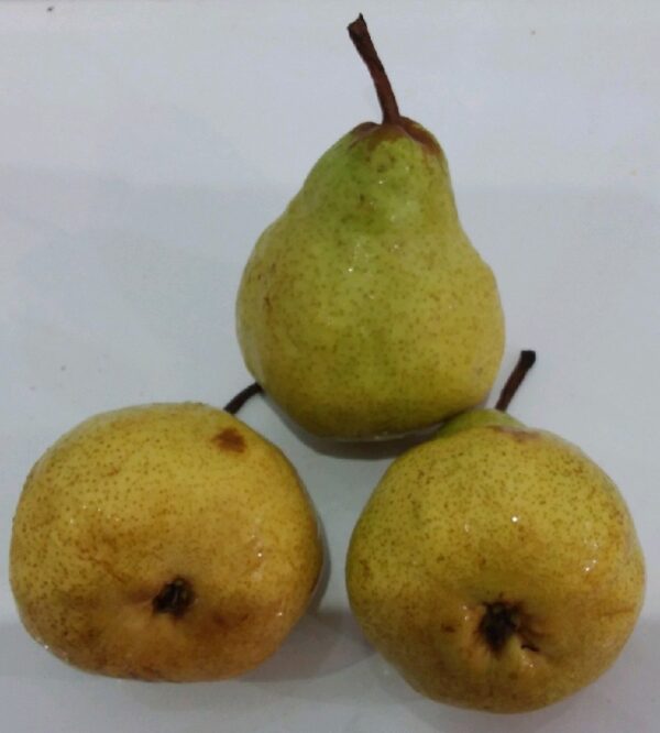 Pear Packham