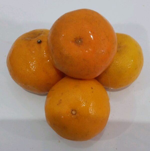 Jeruk Siam Madu