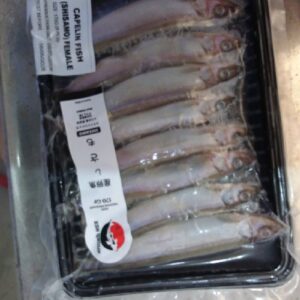 Ikan Shisamo