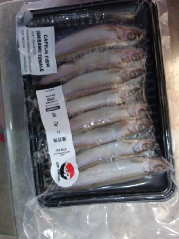 Ikan Shisamo