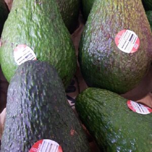 Buah Alpukat Hass Import Segar Daging Super Creamy Gurih Ovegi