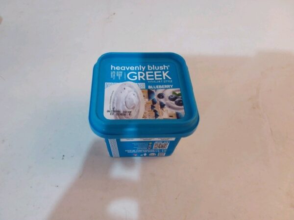 HB Greek Yoghurt Blueberry 300 gr