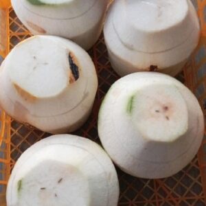 Degan Jelly