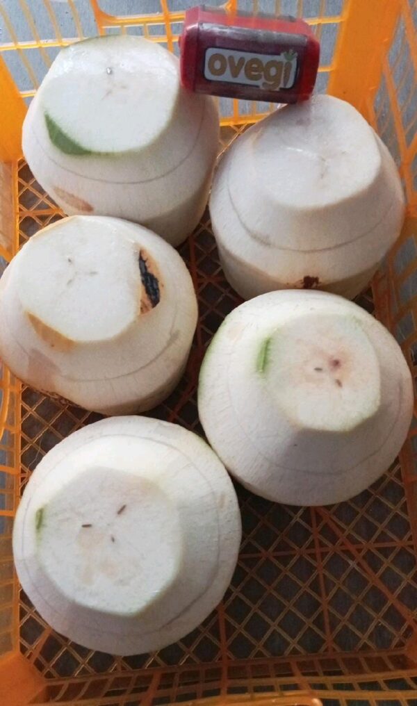 Degan Jelly