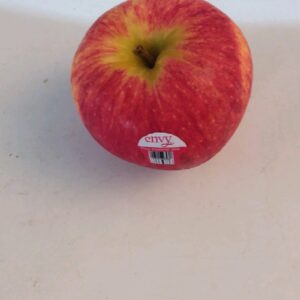 Apel Envy Jumbo