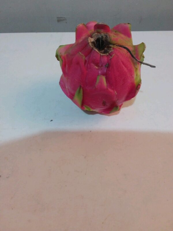 Buah naga merah segar manis dengan daging buah tebal