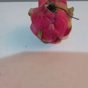 Buah Naga Merah