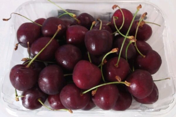 Cherry Canada