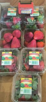 Strawberry Australia