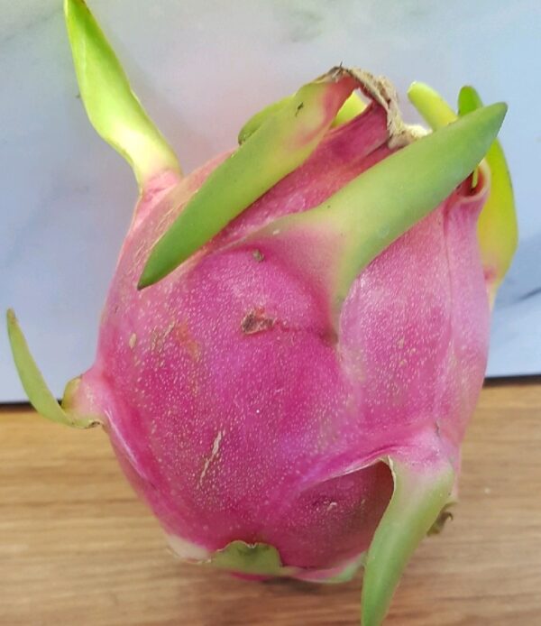Buah Naga Putih