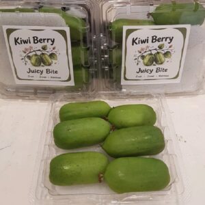 Kiwi Berry Pack