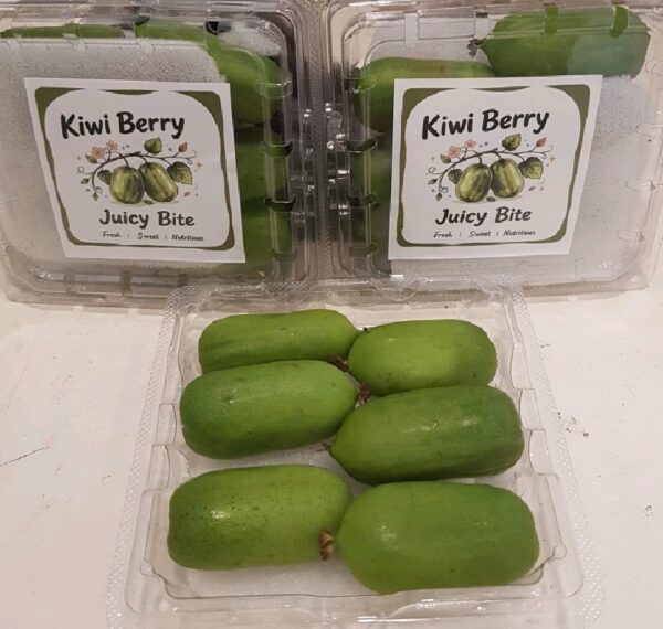 Kiwi Berry Pack