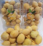 Kurma Muda Pack