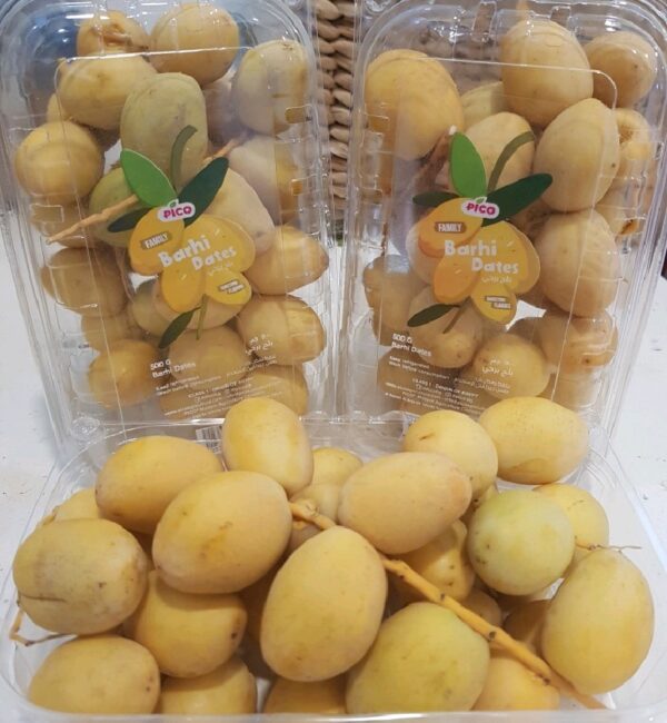 Kurma Muda Pack