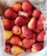 Pear Red Angel Australia