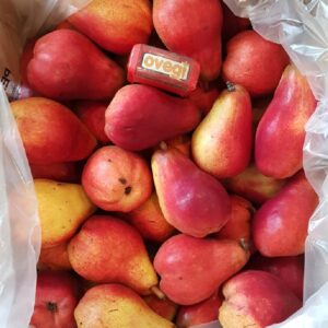Pear Red Angel Australia
