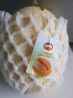 Melon Sweetnet