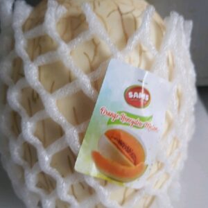 Melon Sweetnet