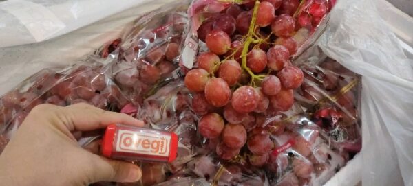 Anggur Red Globe